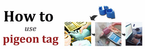 rfid piego foot tags