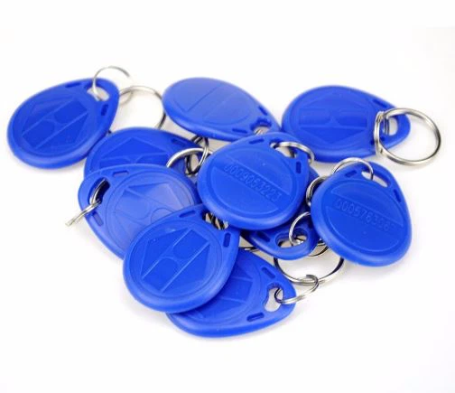 125khz RFID EM4100 Key Fobs