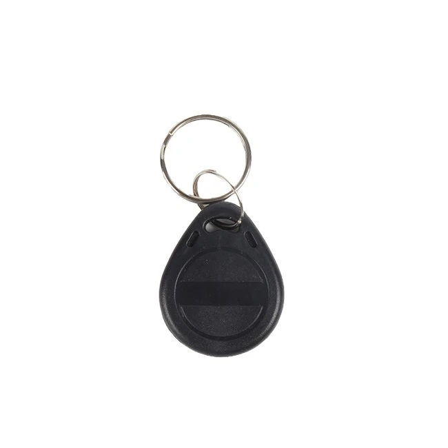 Read only keyfob